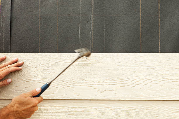 Best Custom Siding Design  in Avon, IN
